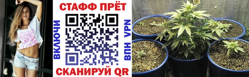 Меф мяу мяу Бородино
