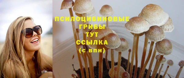 кристаллы Белокуриха